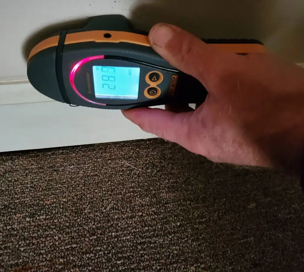 Moisture detection at baseboard during Sewage Cleanup & Sanitation in Northport